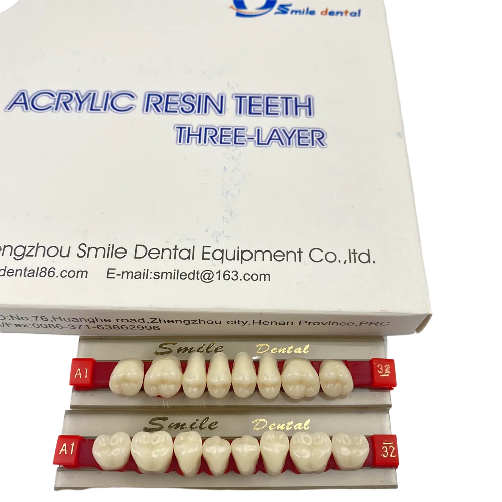 Dental Posteriors Teeth Artificial Acrylic Resin Teeth 3-Layer False Teeth