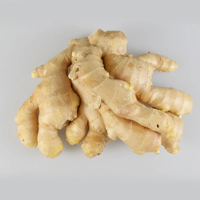 Свежий имбирь оптом, поставка органического нового свежего имбиря