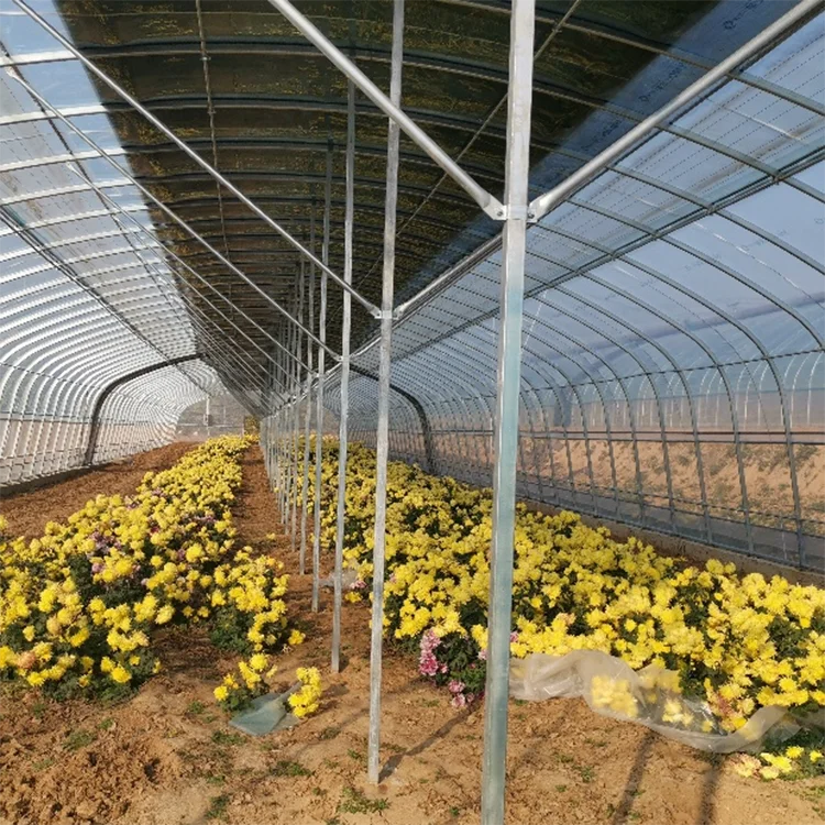 
Factory Outlet Large PE Can Be Customized Single-Layer Large Size Single Layer Plastic Cucumber Greenhouse For Sale 