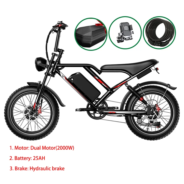 Long Range Electric Bicycle with Dual Single Rear Hub Motor 250W Popular Bike 2000W Bicycle Electric