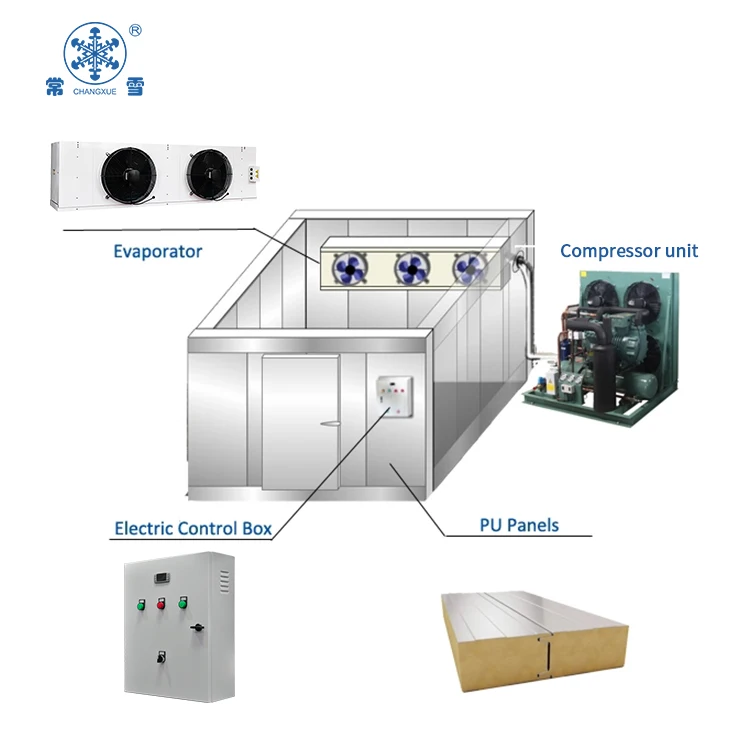 Complete Cold Freezer Room for Sale with Refrigeration Units, Air Coolers walk in cooler