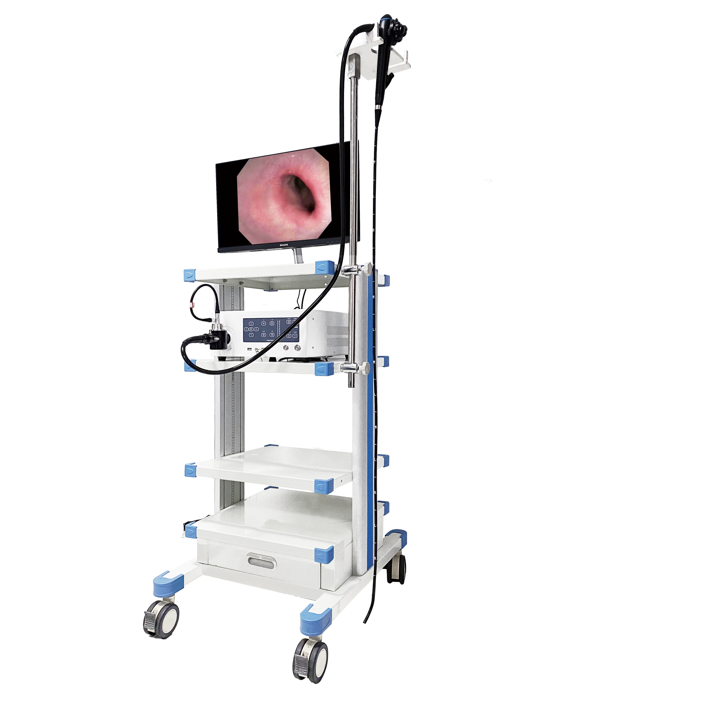 OJH Medical Veterinary Endoscopy Gastroscope For Pets/Horses/Rabbits/ Dogs/Cats VET Medical Equipments