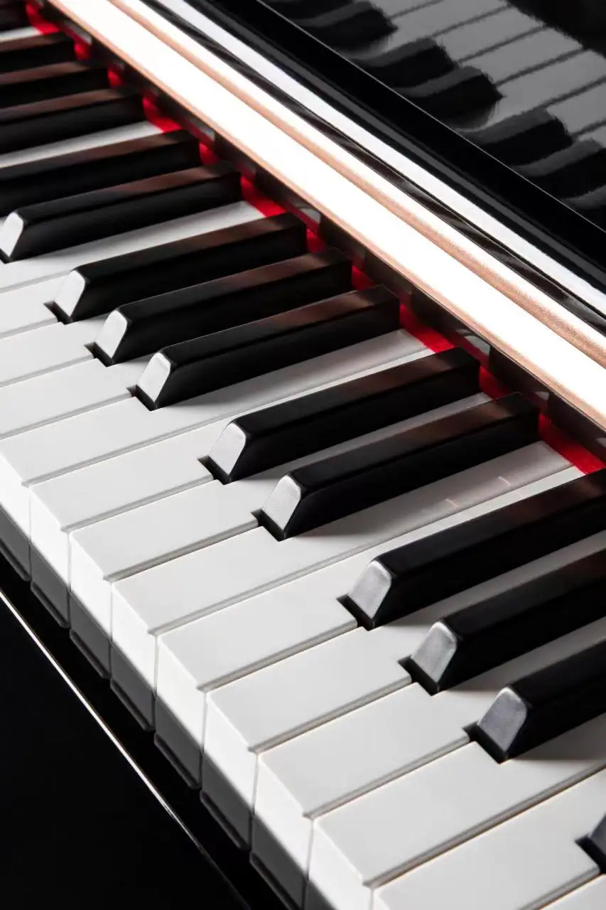 Glamor Electric Piano Keyboard Abundant Function 88 Keys GP-EC46 Digital Piano For Music Play