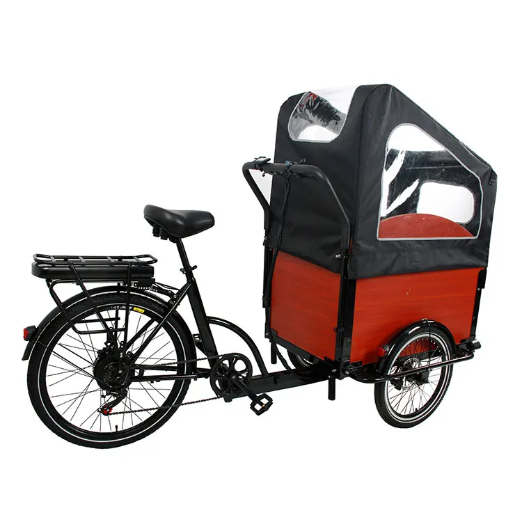 2022 electric cargo bike with alloy frame middle motor cargo tricycle /Family electric adult cargo bike carry kids/Electric biks