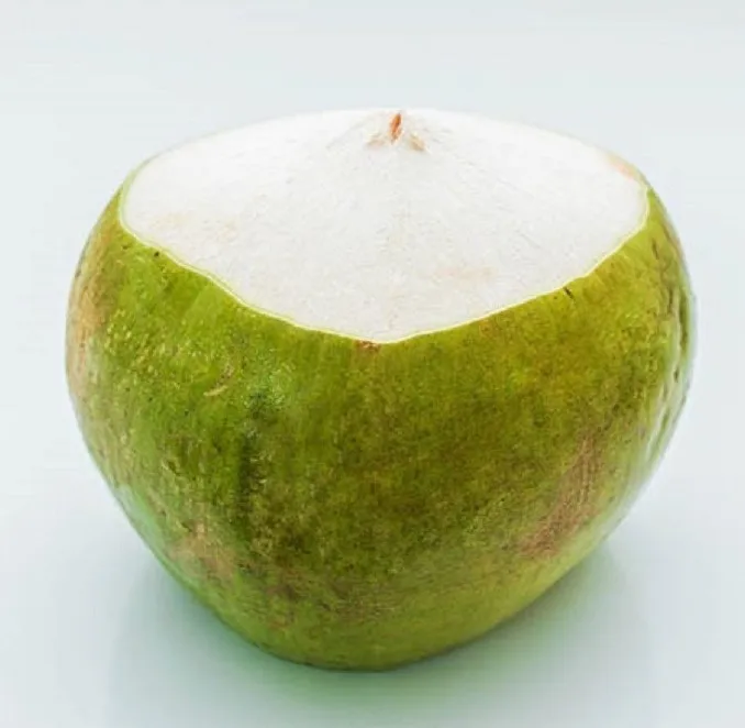 No.1 Fresh sweet young coconut organic common cultivation whole green coconut natural origin with high quality from Vietnam