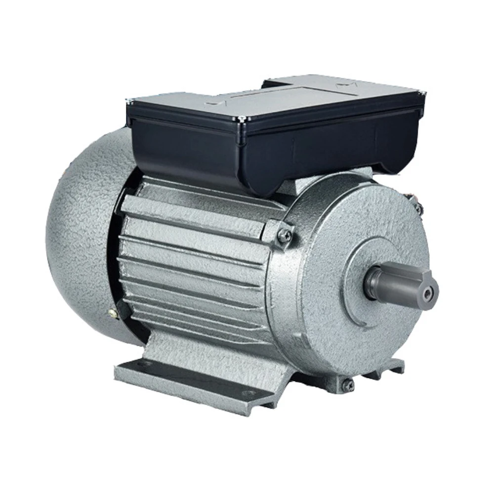 YL802-4 0.75kw 4-pole 1500rpm Single-phase Cast Iron Shell Copper Wire Capacitor Start and Run YL Motor