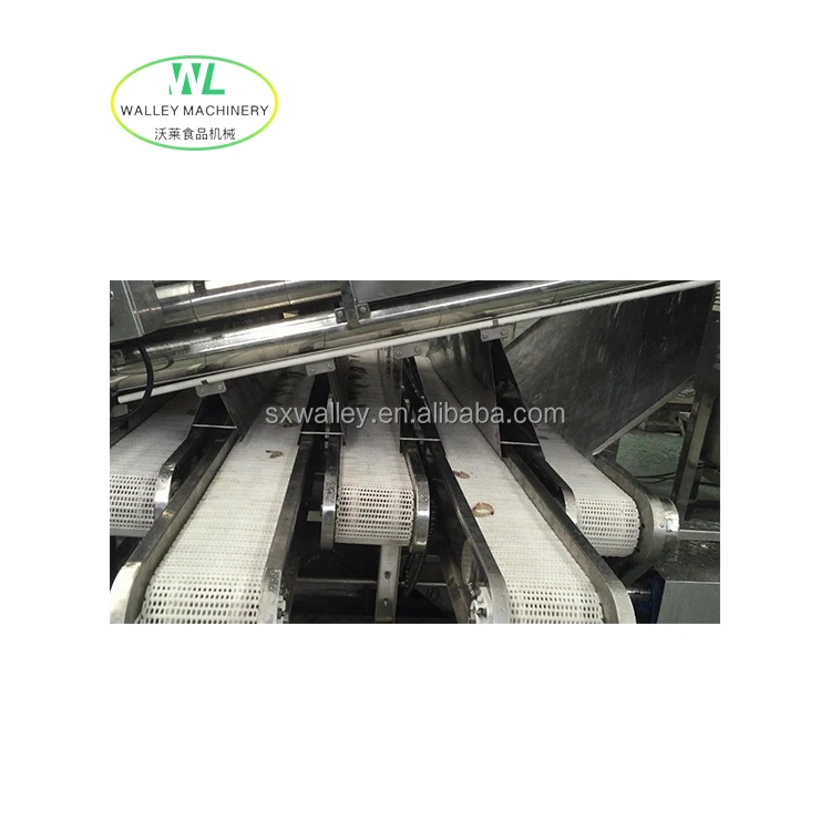 Hotsale Industrial Prawn Washing Size Separator Automatic Fish Sorting Equipment Sardine Grader Shrimp Grading Machine