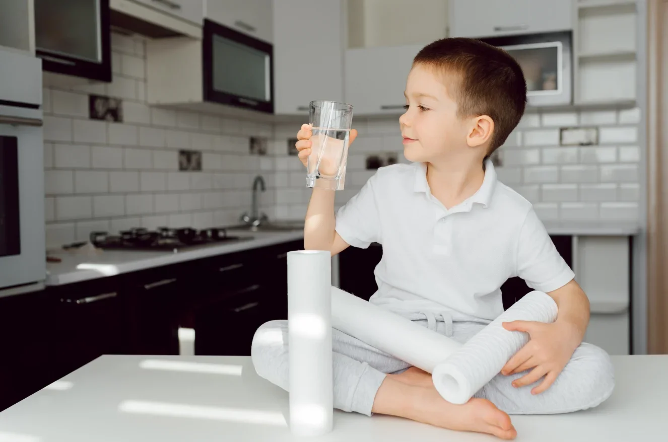 Iwater anti-scale and anti-bacteria water purifier cartridge filter replacement