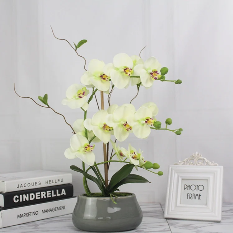 Decorative Flower Table Centerpieces Phalaenopsis  Latex Butterfly Orchid Bonsai Phalaenopsis Orchids Flasks