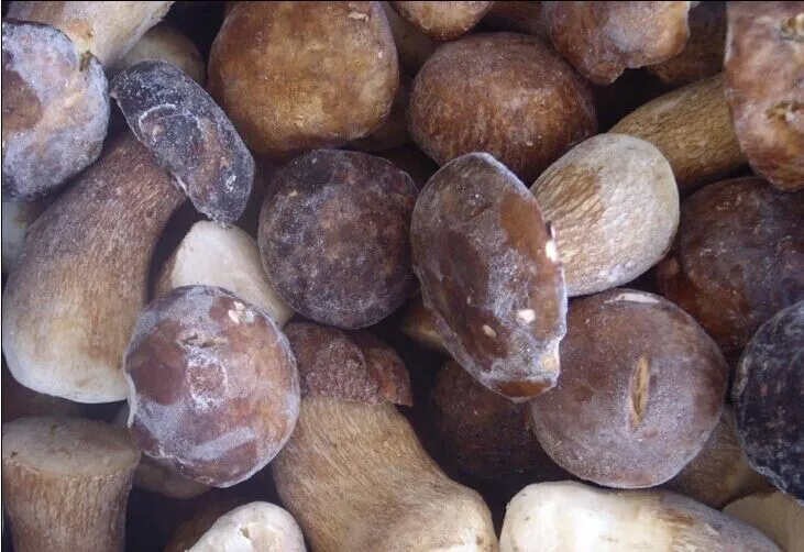 Новый Урожай диких порчини гриб замороженный Boletus Edulis