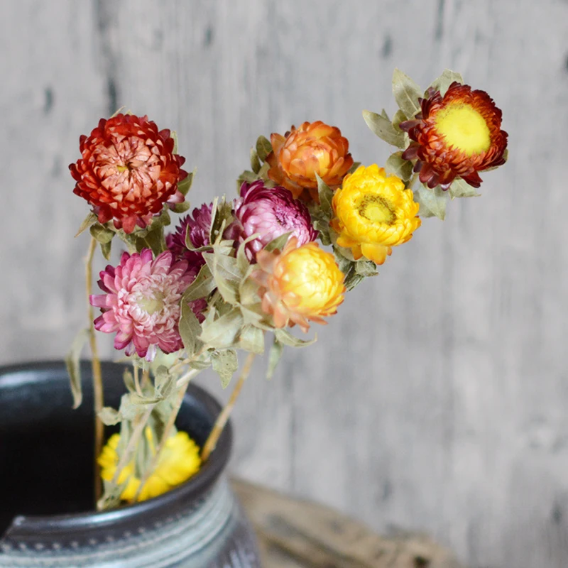 
Dried natural strawflower colorful daisy flower bouquet for home wedding party decoration 