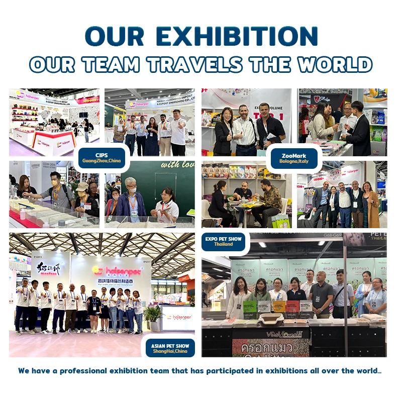 Free Samples Arena Para Gatos Strong BSCI MSDS Certificate Clumping Bentonite Cat Litter Sand