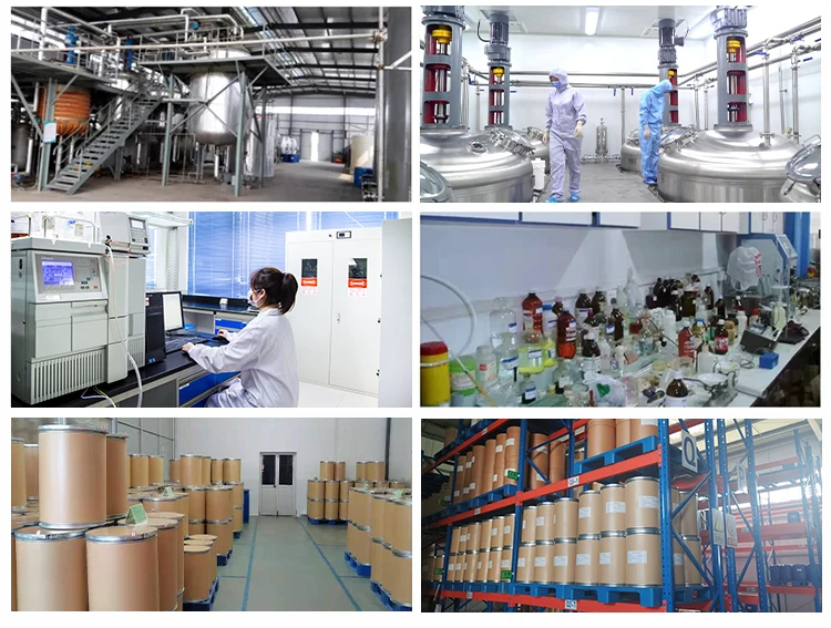 For Gut Health lactobacillus plantarum 600B Food Additives Manufacturers Probiot Lactobacillus Plantarum 200B CFU/g