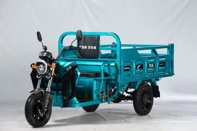 CL 3 Wheel Adults Electric Bike 3 Wheel Cargo Bike Passenger Motorcycle Adult Electric Tricycles