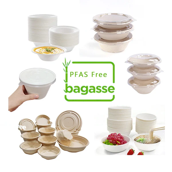 Sugarcane Tableware Bagasse Packaging 10Oz 12Oz 16Oz Biodegradable Salad Bowl Containers Pulp Mouldin Bagasse Bowl With Lid