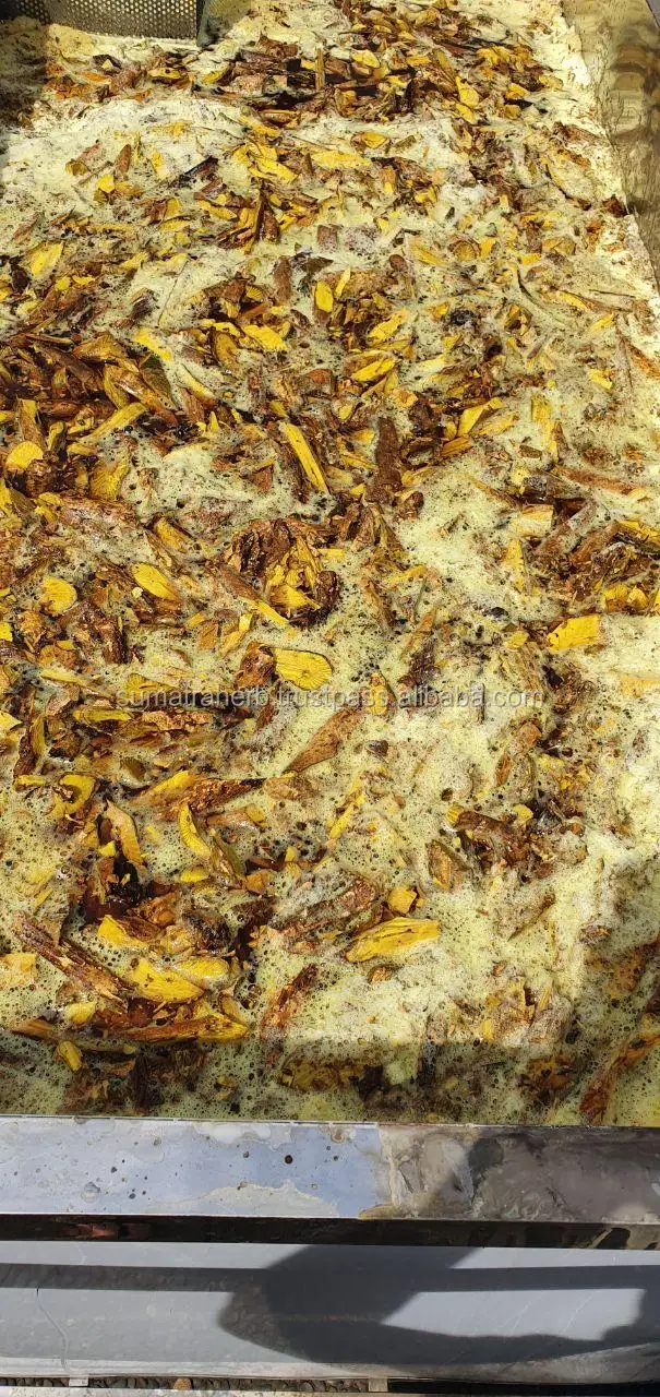 
High quality berberine hcl in bulk stock foods with containg berberine hcl in bulk stock Origin Indonesia 