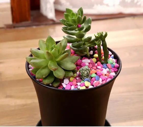 
wholesale decorative round white and black garden indoor outdoor modern PP plastic flower pots 