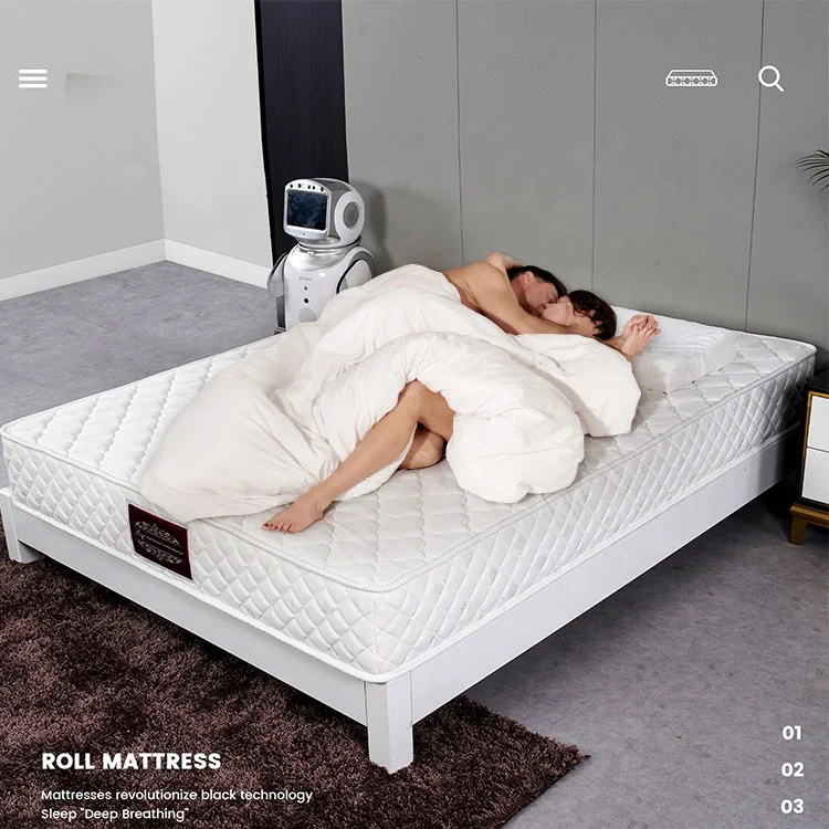 Professional Chinese Manufacturer Hypo-allergenic Knitted Fabric Soft Foam Single King Mattresses For Beds Mattress