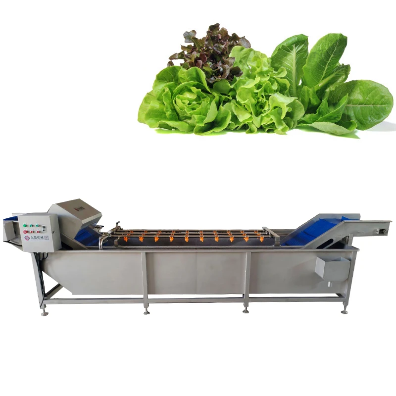 Leafy vegetable washer fruit lettuce bubble washing machine with ozone