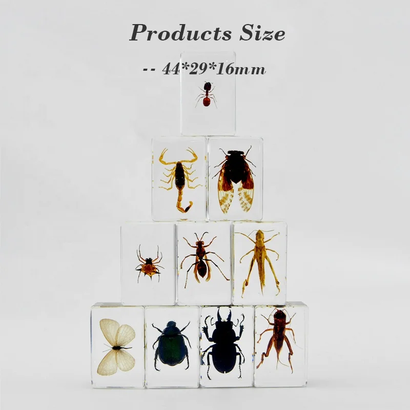 real scorpion resin paperweight 44*29*16 mm custom logo clear resin paper weights