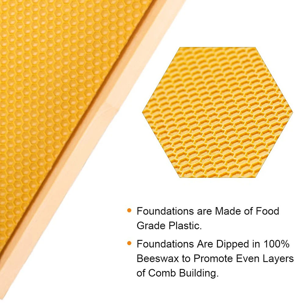 Bee Frame With Bee Wax Foundation Sheet Super Wood Bee Hive Frame for Beekeeping