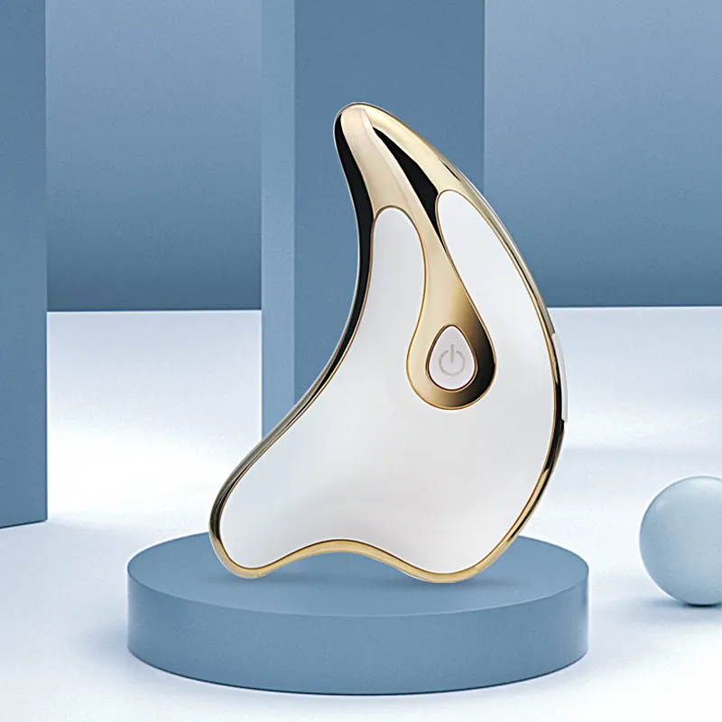 Hot Selling Product Facial Machine 2 In 1 Electric Face Lifting Beauty Equipment