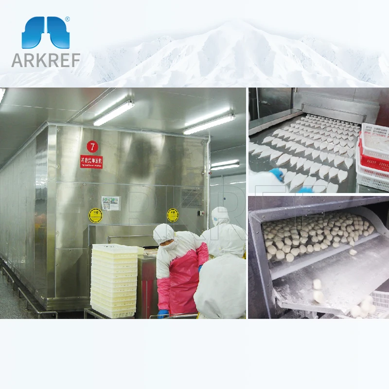 High Efficiency Blast Chiller Freezer Tunnel Freezer Sea Food Quick Freezing Stainless Steel 304 Iqf Tunnel For Sea Food Meat