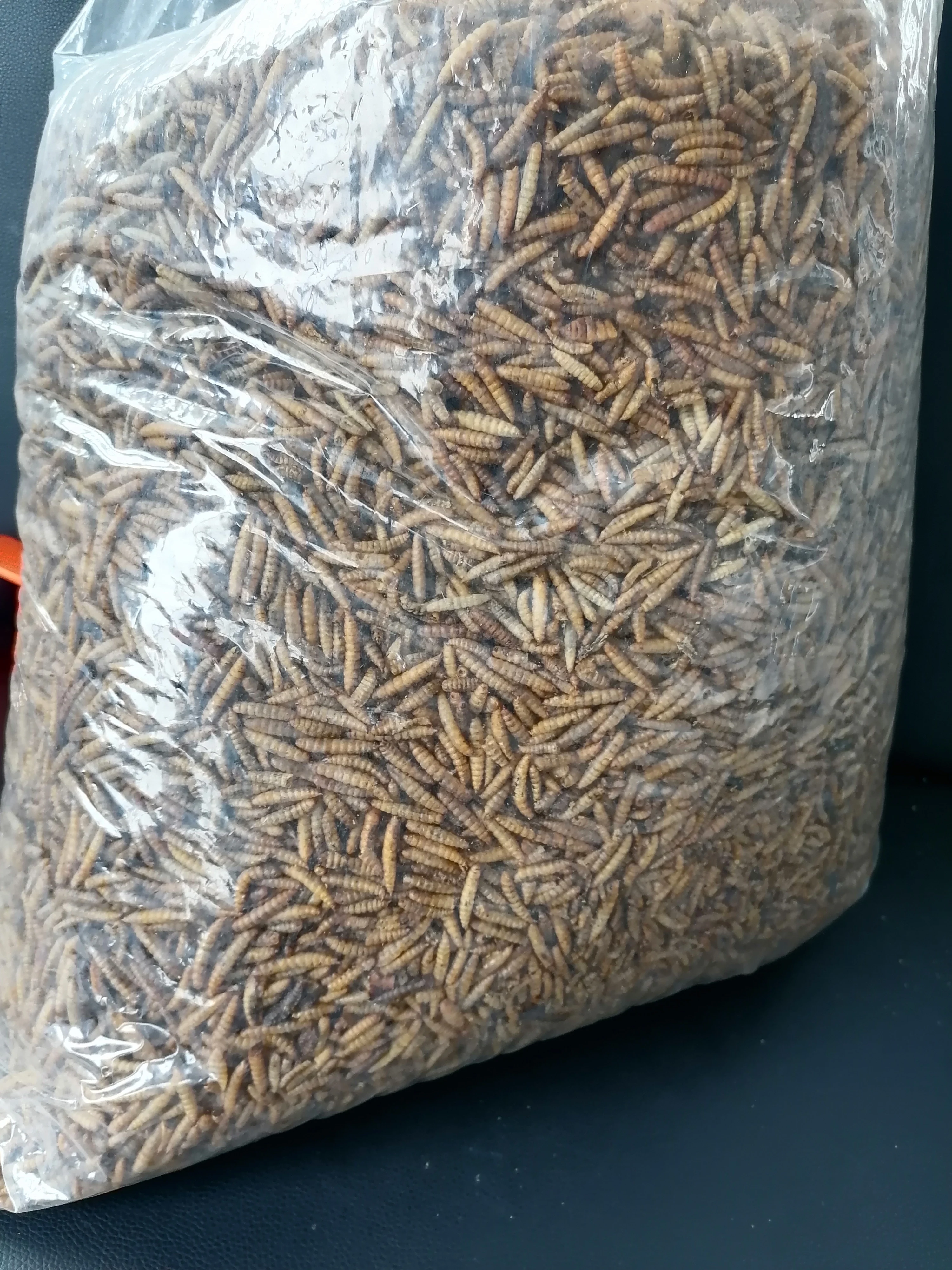 High protein Microwave dried calci worm Dried black soldier fly wild bird food pet food fish food