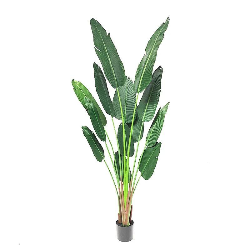 An interior window displays Nordic traveller bananas coconut tree high quality artificial trees