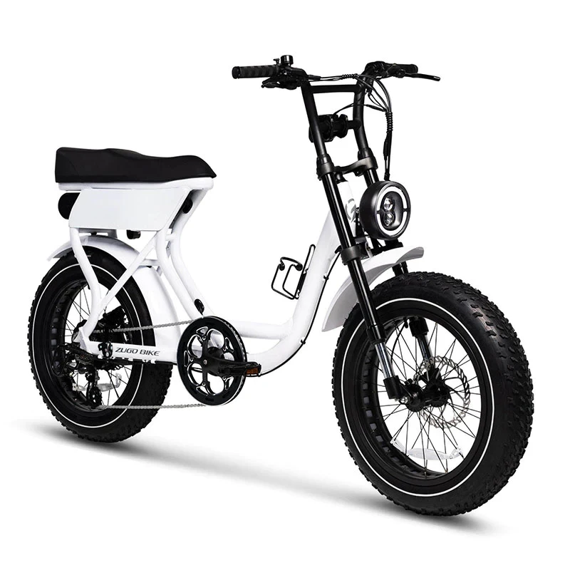20 Inches Electric Fatbikes Buy From EU USA Warehouse Electric Fat Bike for Adults Shijin ATV07 Fat Tire Electric City Bicycles