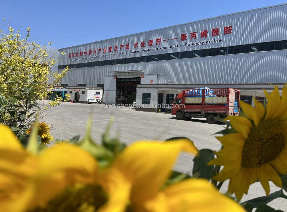 Water Protection Flocullant PAM Chemical: APAM CPAM 9003-05-8 Anionic Cationic Polyacrylamide Use To Wastewater Treatment