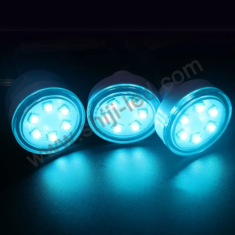 DC12v 45mm Diameter LED pixel light WS2801 IP66  6 pcs SMD 5050 RGB LEDs point light