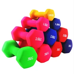 Cheap Hot Sale  Exercise Dumbbell Colorful Vinyl Carton Strength Exercise Dumbells Set 100 Sets Accept OEM Multi-color