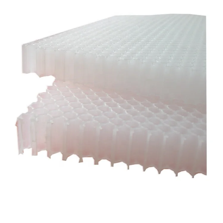 large size pp honeycomb panel/board in plastic composite panels best core for dry container box wall