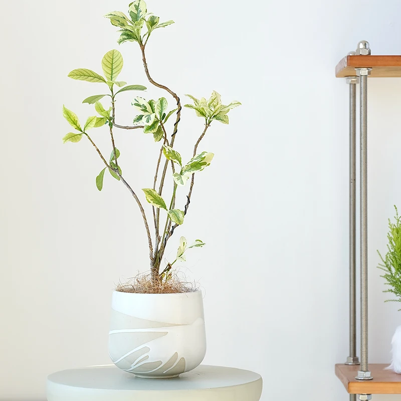 Factory direct selling splash white glaze bonsai indoor balcony decor plant pots ceramic pots for plants