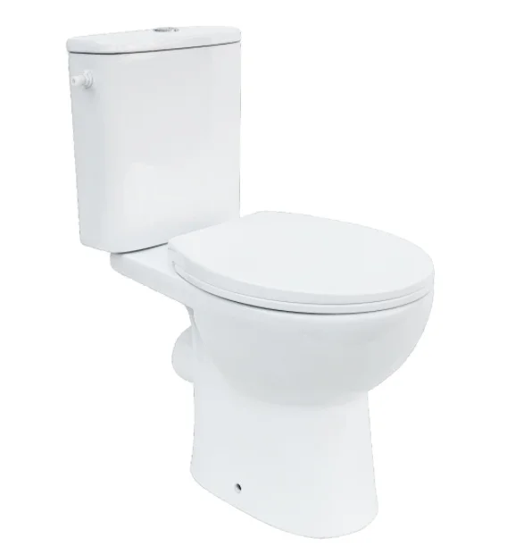 2024 New Rimless Washdown Two Piece Toilet For Bathroom Ceramic P Trap Two Piece Toilet