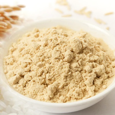 Top sale product  Rice Protein