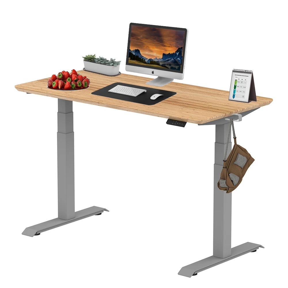 Modern Office Furniture Dual Motor Standing Gaming Desk Office Motorized Sit Stand Height Adjustable Lifting Table