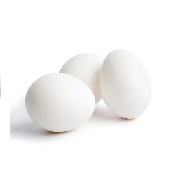 Farm Fresh Organic Poultry Chicken White Shell Table Eggs | Halal Top Quality Packed Eggs From Pakistan