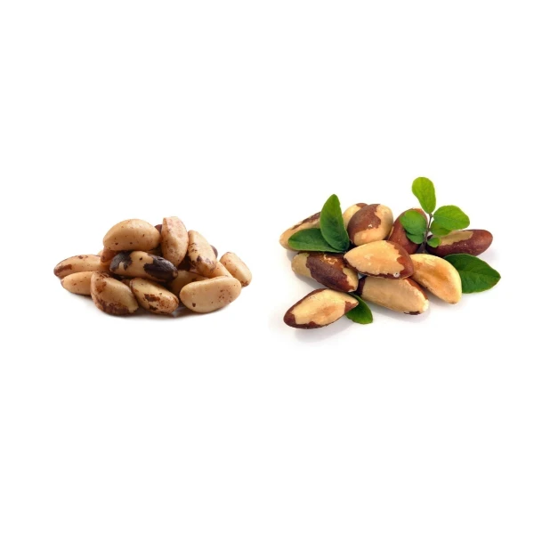 Direct Supplier Organic Dried Brazil Nuts Bulk Raw Brazil Nuts Fresh Crop Nuts for Sale