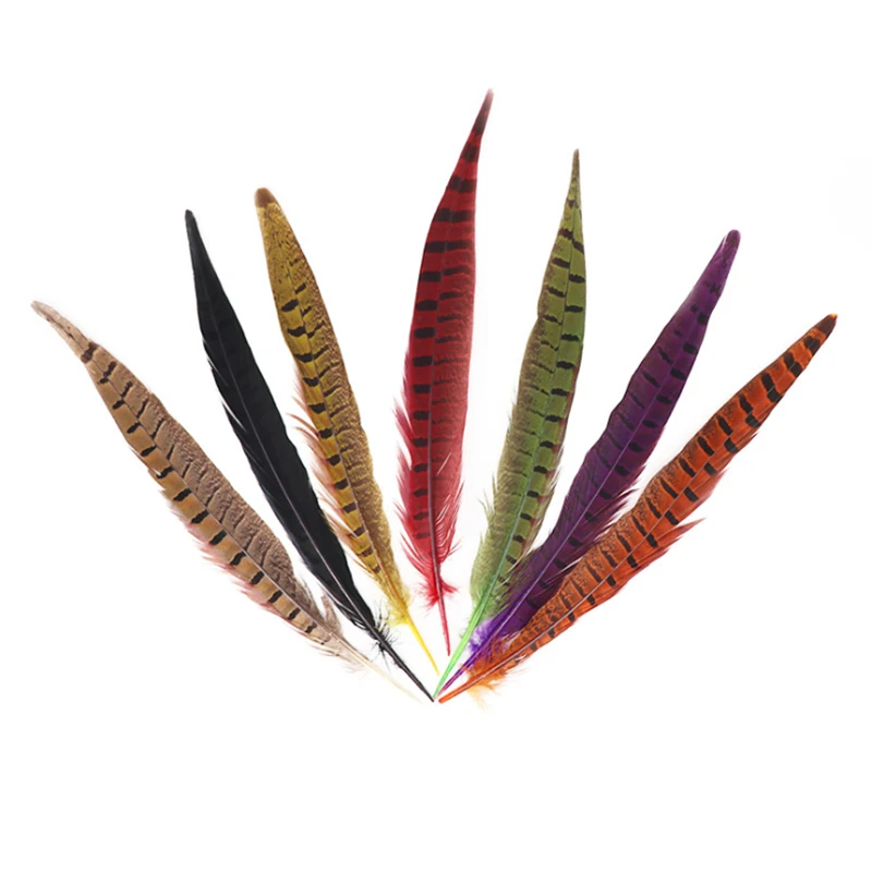 Wholesale Natural Plumas Ringneck Pheasant Tail Feathers Pluma de Faisan