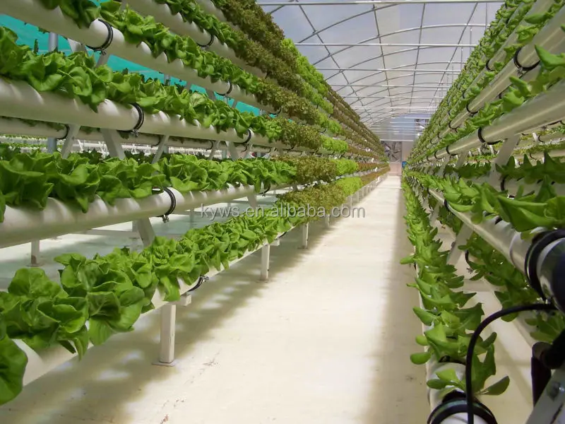 Multilayer Plant Rack Vertical Pipe Hydroponic Growing System for Greenhouse Planting