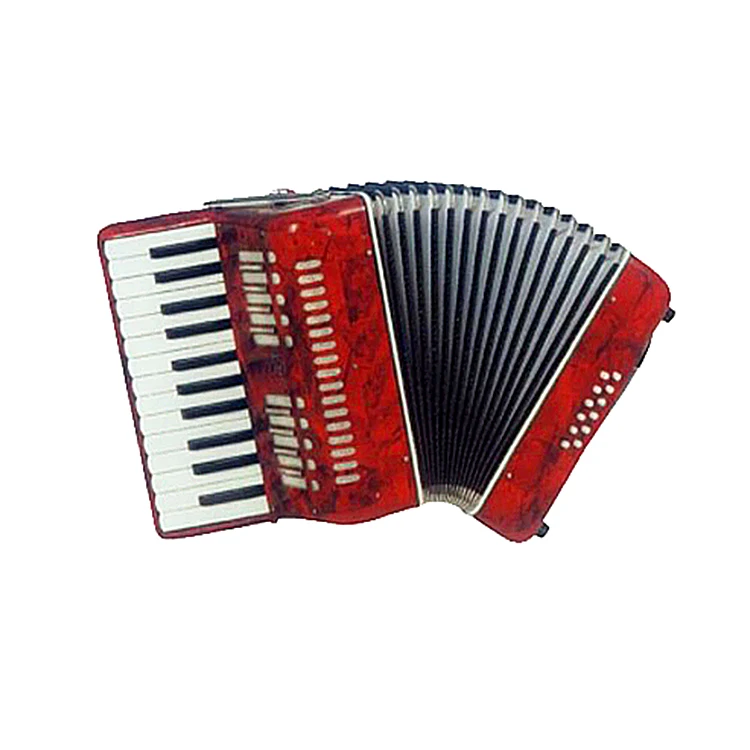 Professional Accordion  with ISO 9001 HARD CASE 12 BASS