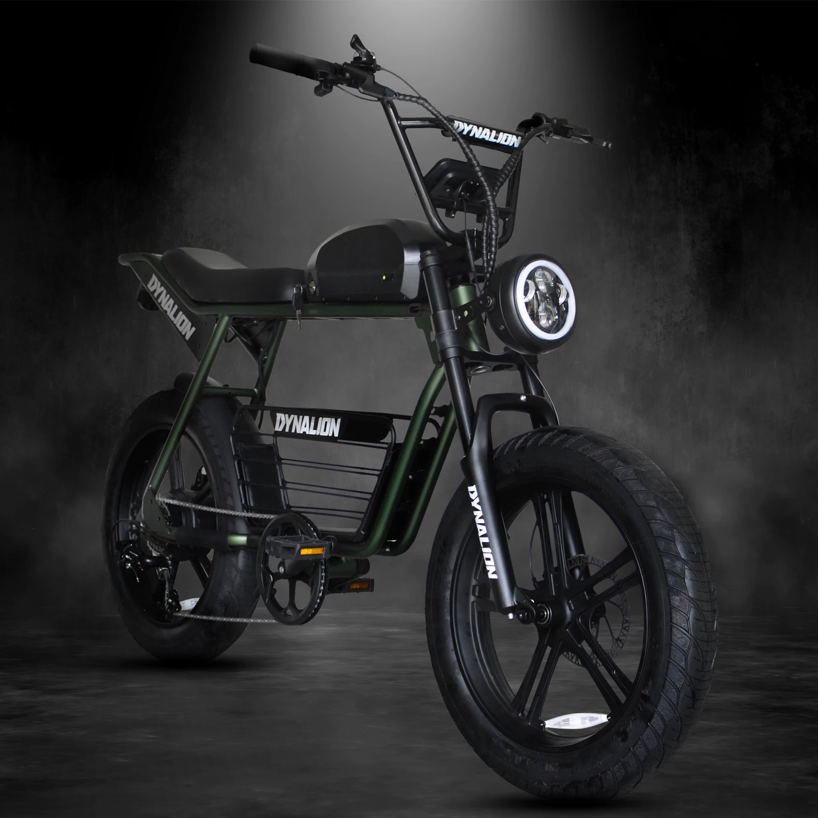 Electric Bicycle Dynalion Fat Tire 48v 1000w Electric Bike Steel Frame Orange Black Green Color Lithium Battery E-Bike