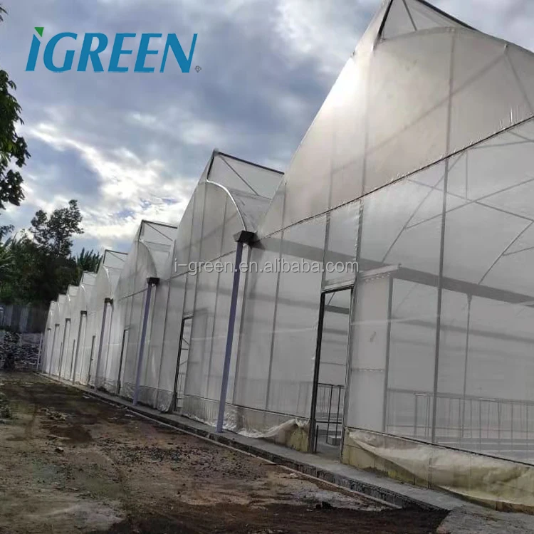 greenhouses from china greenhouse material hydroponic greenhouse for sale
