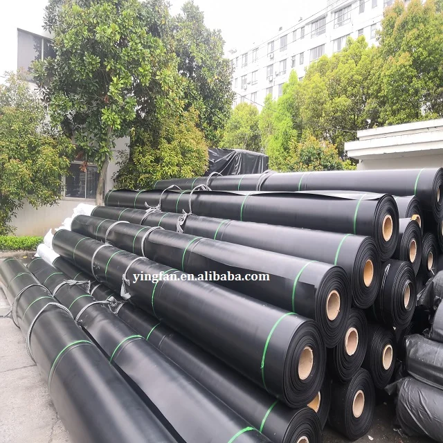 2024 Factory price eel pond liner 0.75mm hdpe Geomembrane sheet for promotion