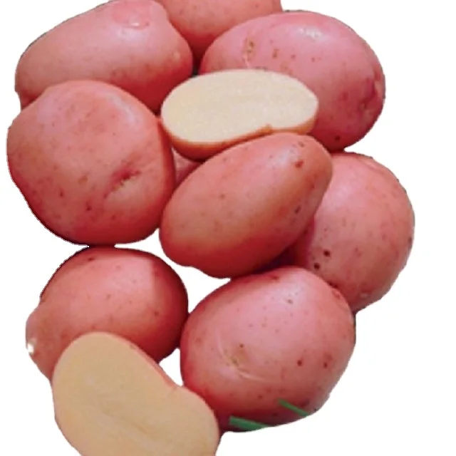 2021 New Season Professional Export Wholesale Organic Potato Kardinal From Bangladesh