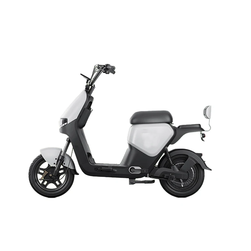 Paige 2024 New Style Model Electric Bicycle Adult 20Inch 1000W Rechargeable E-Bike Cycle Xingtu
