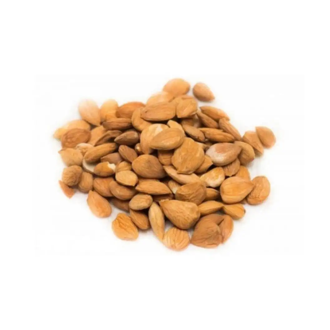 High grade Wholesale Natural Bulk Apricot kernels from Uzbekistan manufacturer Non-GMO Apricot pits