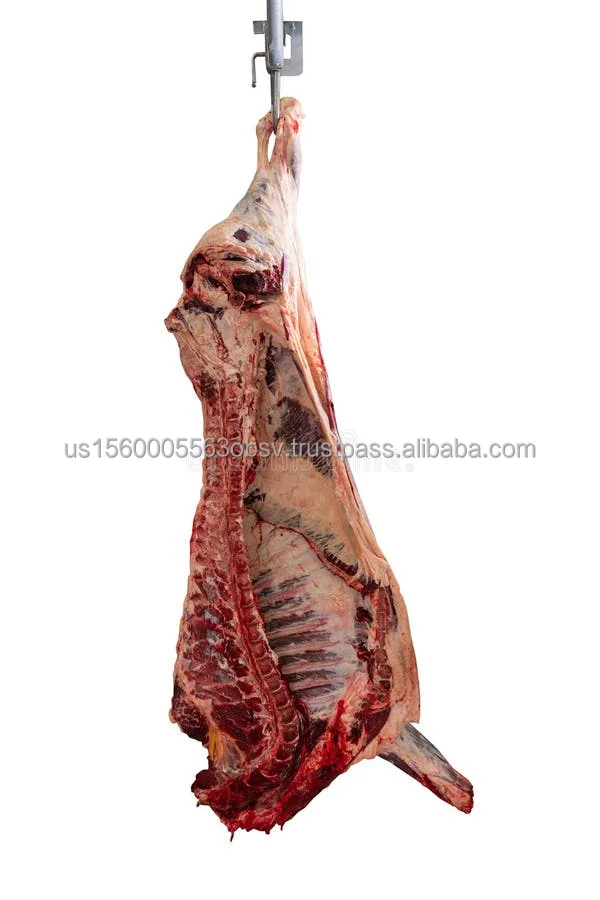 Frozen beef carcass wholesale prices Best beef carcass prices